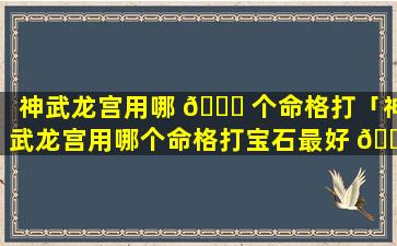 神武龙宫用哪 🐒 个命格打「神武龙宫用哪个命格打宝石最好 🐘 」